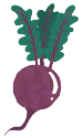 beetroot image aka homepage link